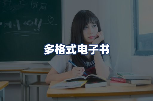 多格式电子书